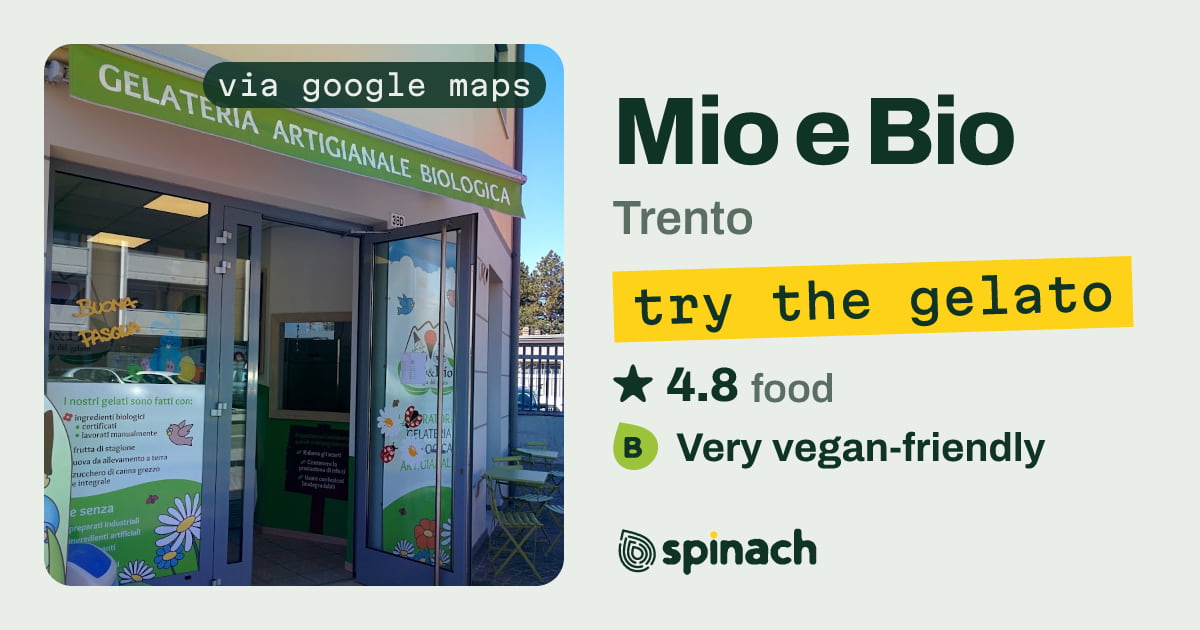Mio e Bio - Ice Cream, Vegan Flavors in Trento | Spinach